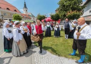 Praznik krompirja – Krompirjevo 2018 16